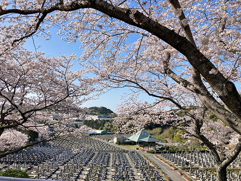 園内風景