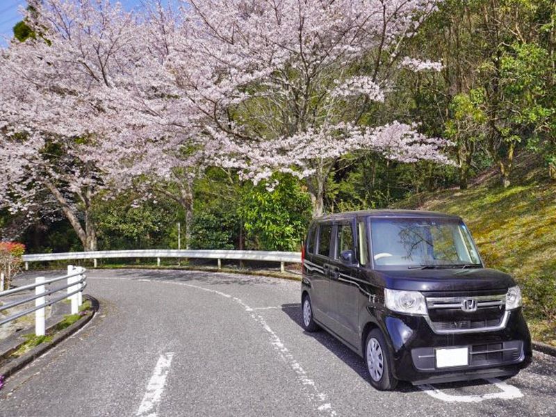 千早赤阪メモリアルパーク