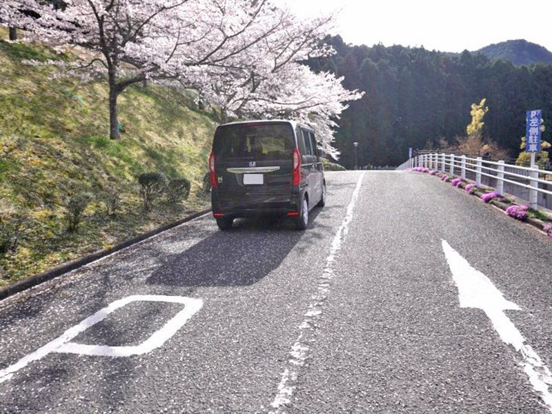 千早赤阪メモリアルパーク