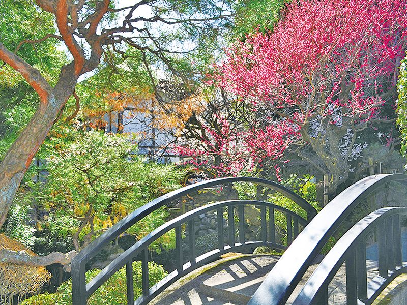 寶乘寺霊園 おもひでの径