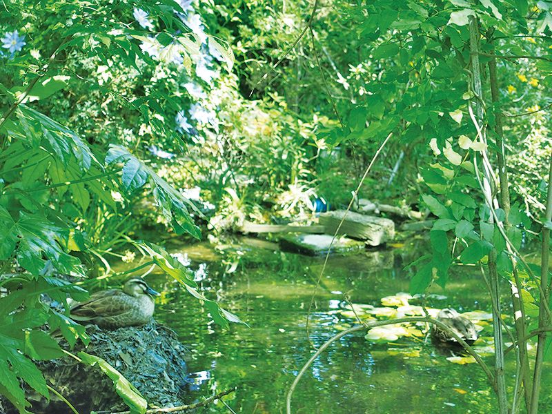 寶乘寺霊園 おもひでの径