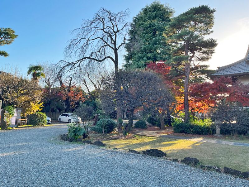 妙高寺