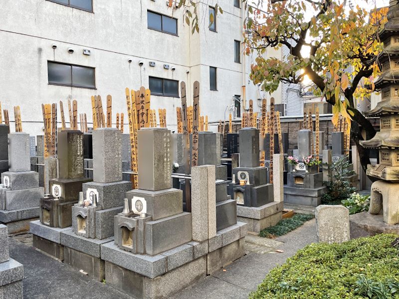 曹洞宗 醫王山 妙清寺