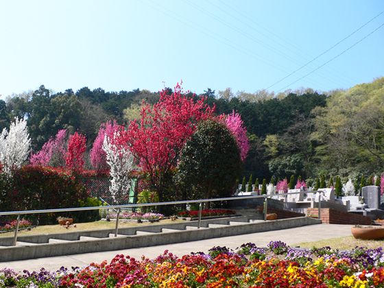 湘南メモリアルガーデン　色とりどりの花が咲く園内