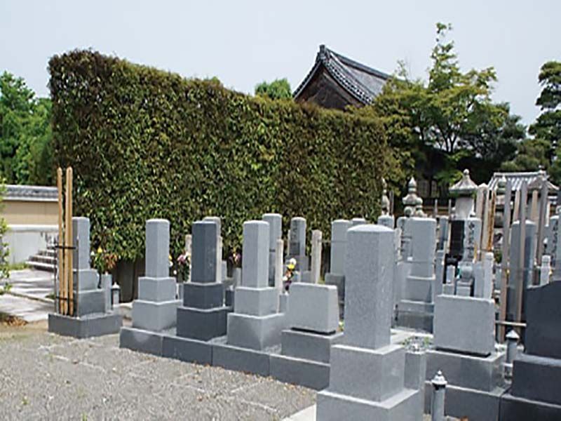 妙心寺塔頭 天球院