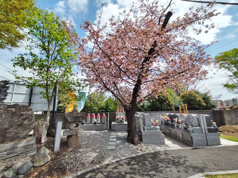 天海山 雲龍寺 光明霊園