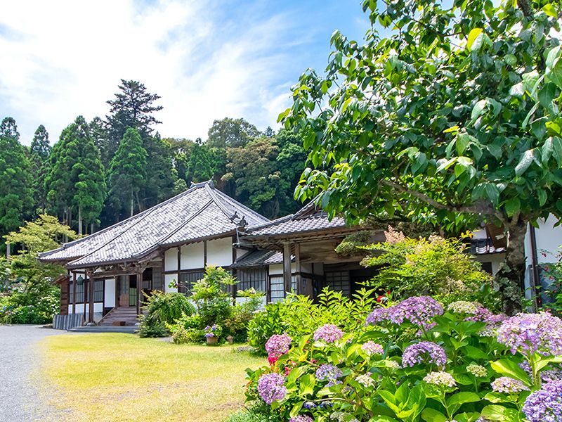 紫陽花と堂宇の景観