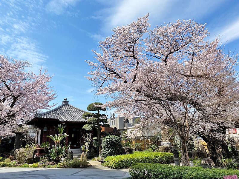 安養院 ひかり陵苑 ひかりの園