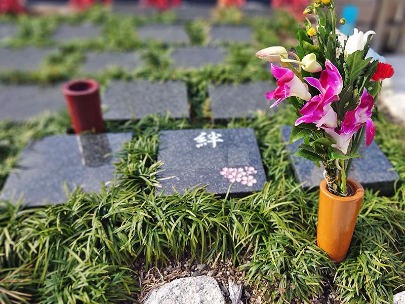 太平寺サンライズガーデン