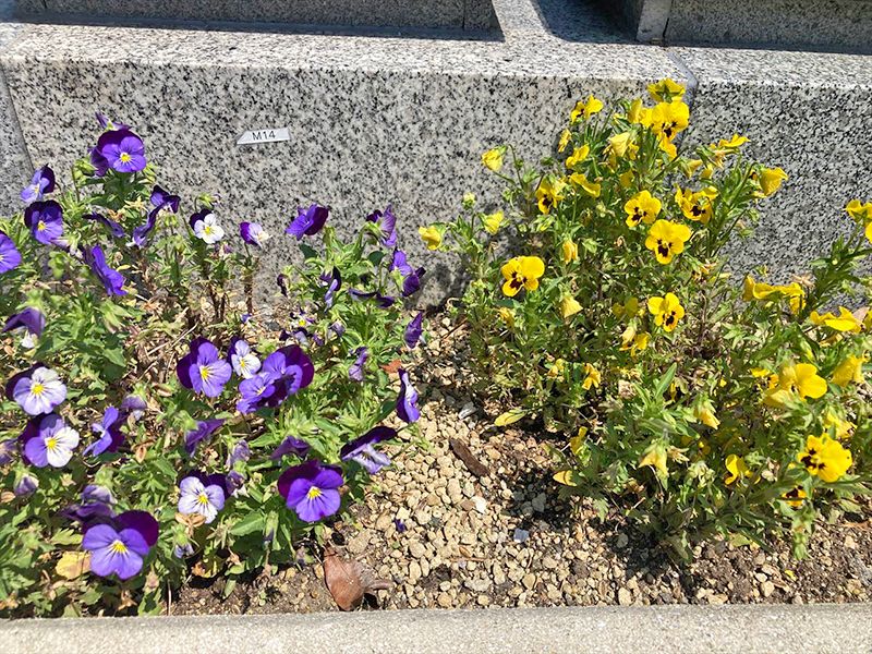 たくさんのお花に囲まれた霊園です。