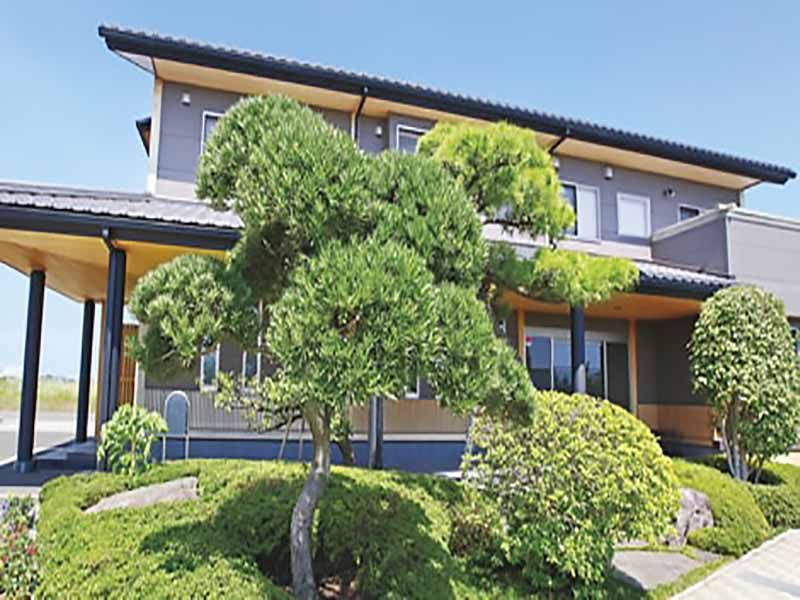 平塚中央霊園Ⅱ　手入れの行き届いた木々