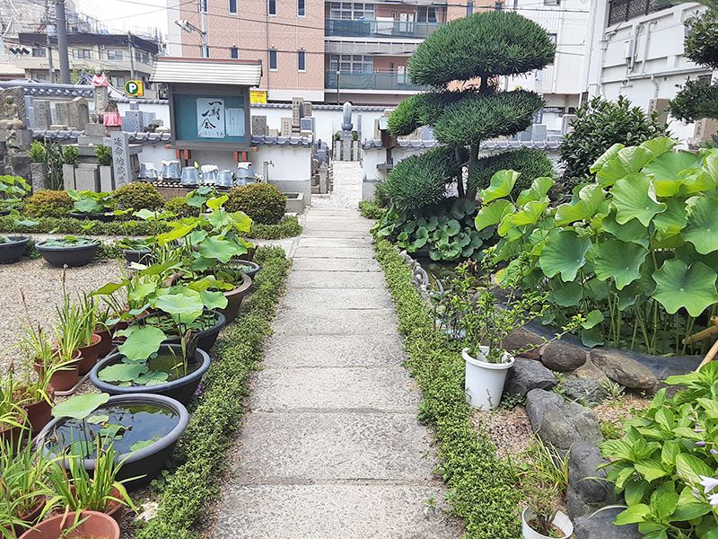 大善寺墓苑