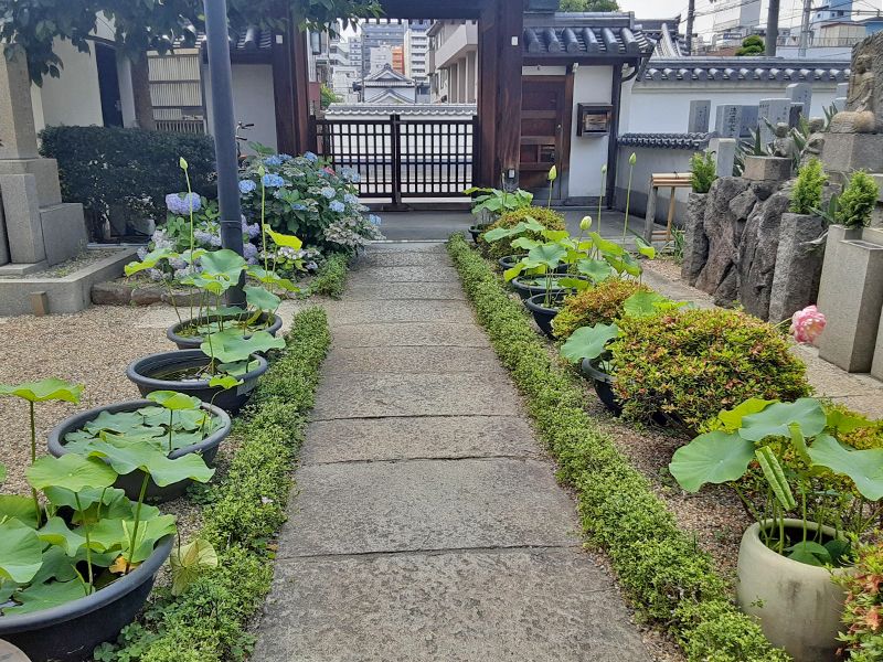 大善寺墓苑
