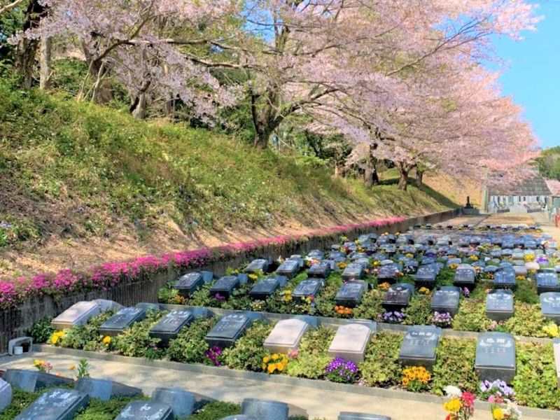 桜の木の下でお眠りいただけます。