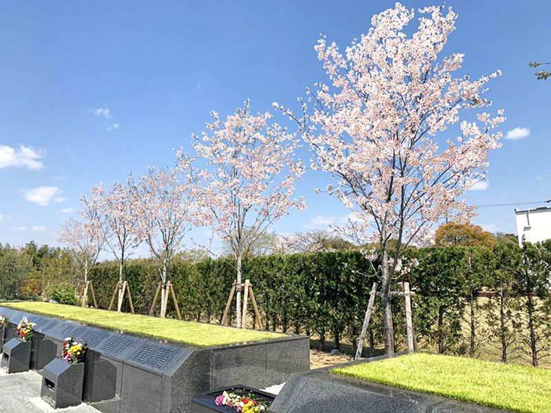 パークフォレスト堺