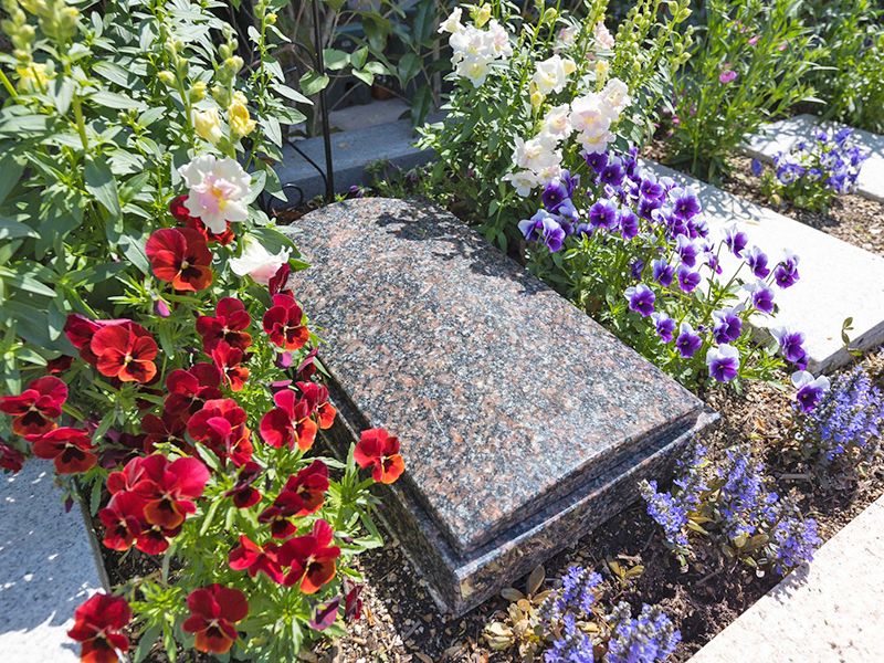 國相寺墓苑樹木葬 TREE GARDEN