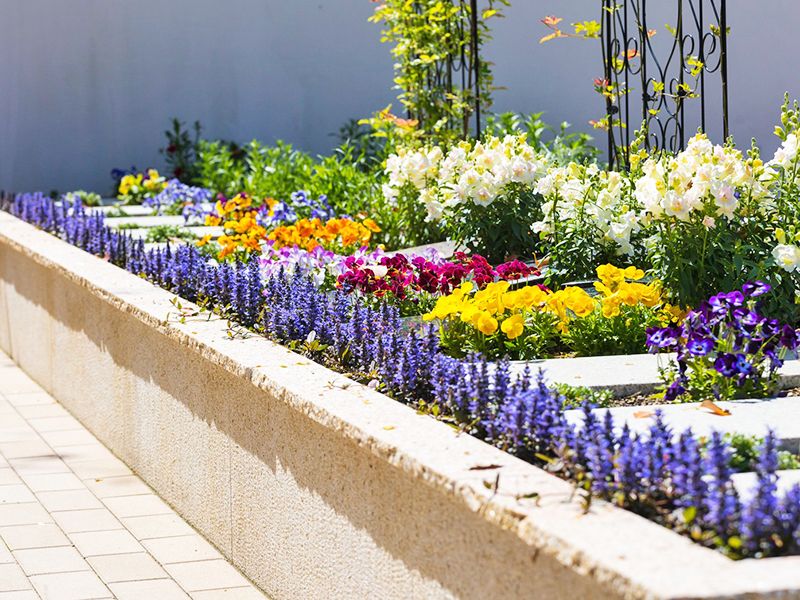 國相寺墓苑樹木葬 TREE GARDEN
