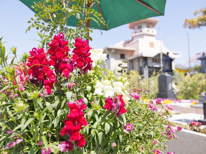 國相寺墓苑樹木葬 TREE GARDEN