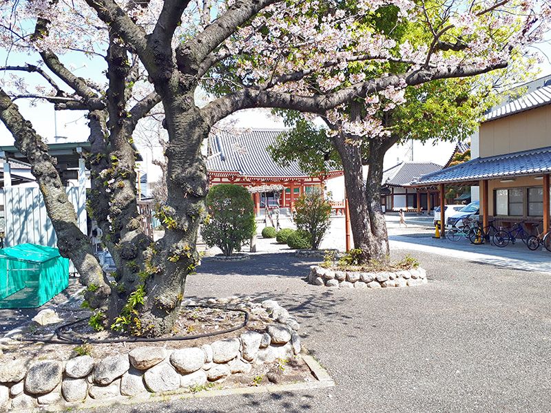 富光寺墓地