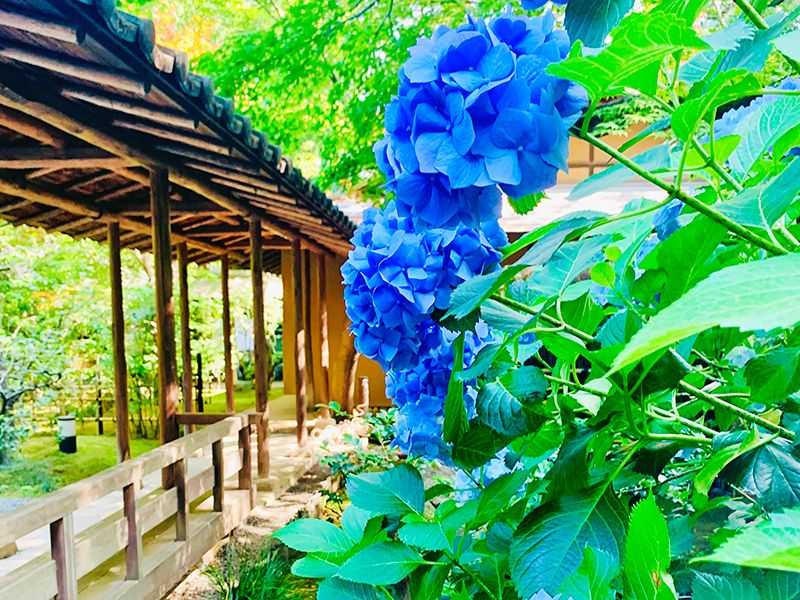 広尾の杜
