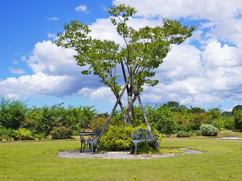 五色台メモリアルパーク