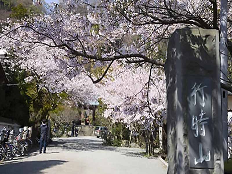 行時山 光則寺　四季折々の花が楽しめる参道