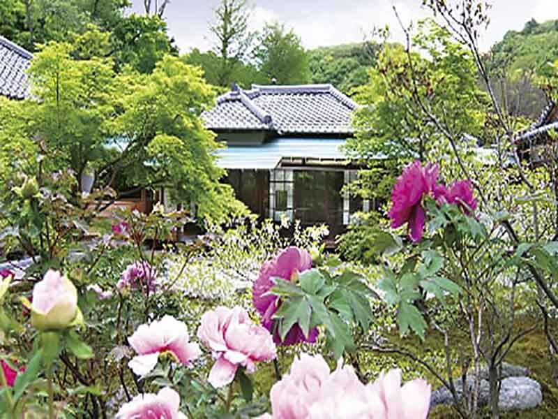 臨済宗建長寺派 長寿寺　季節の花が美しい境内風景