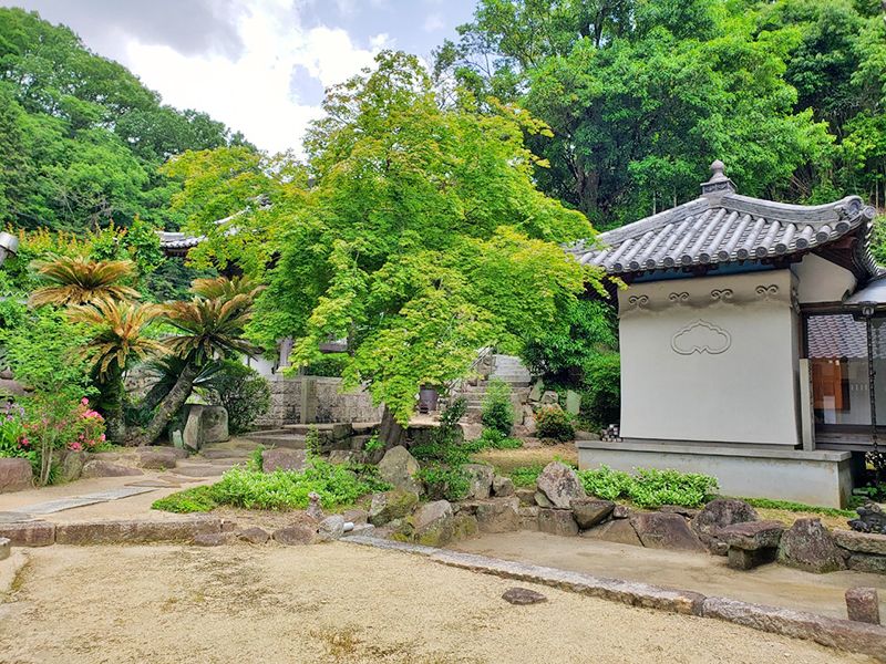 西福寺 のうこつぼ