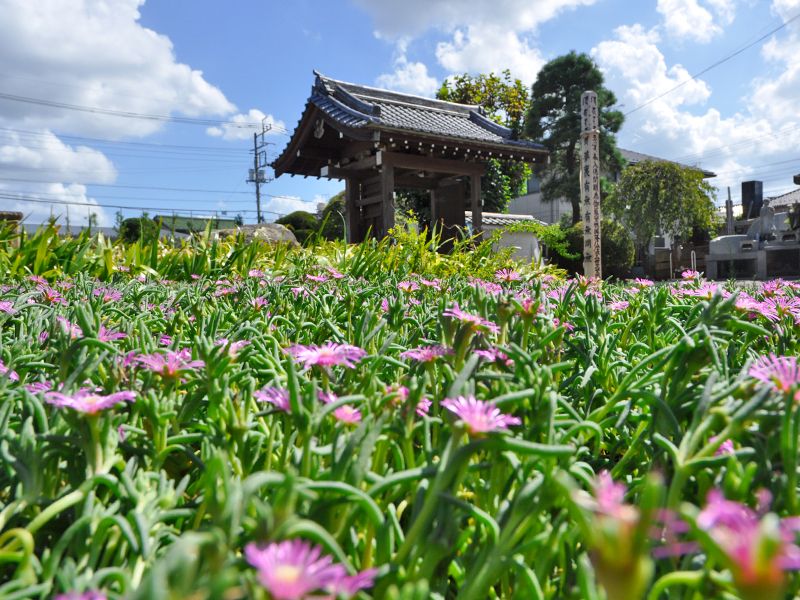 吉祥院　永代供養付墓「雙樹（そうじゅ）」
