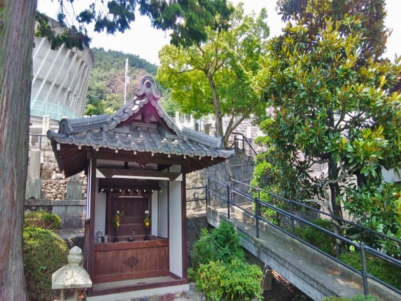 西秦共同墓地