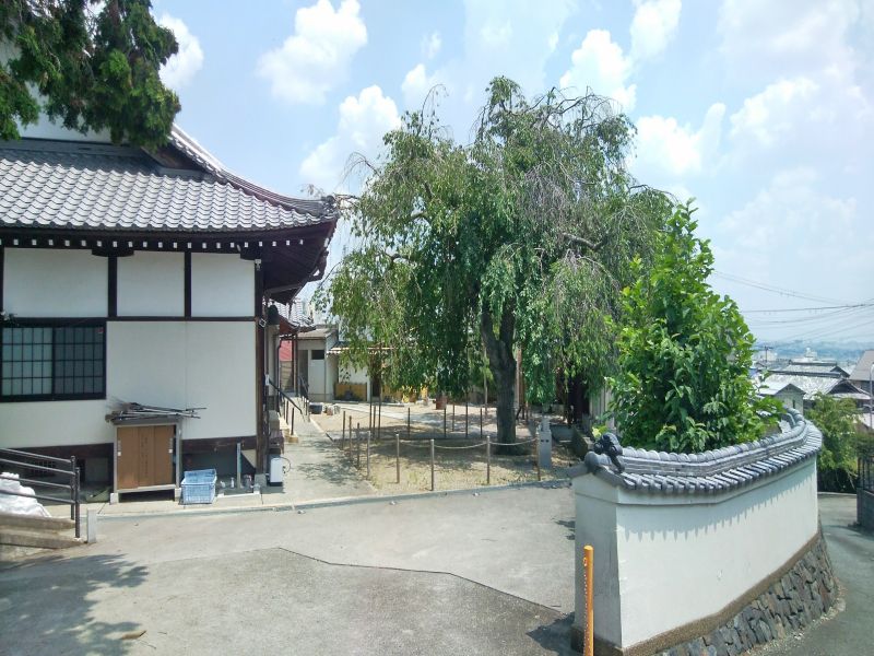 西秦共同墓地
