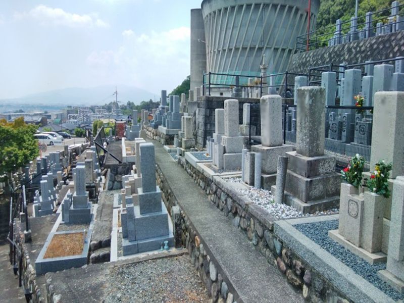 西秦共同墓地