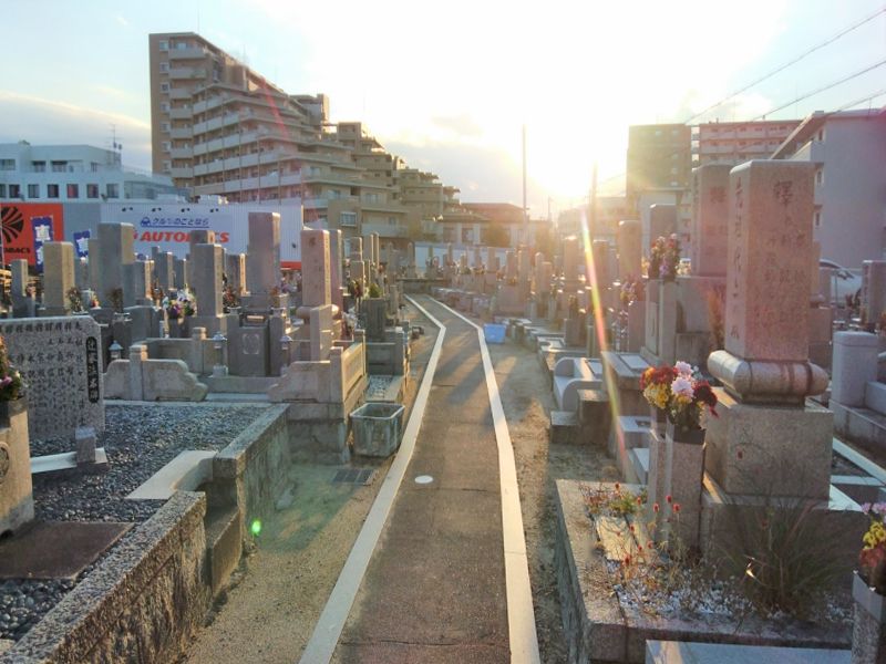 坪井墓地