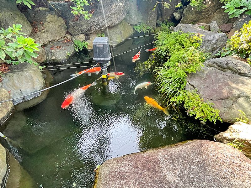 正源寺