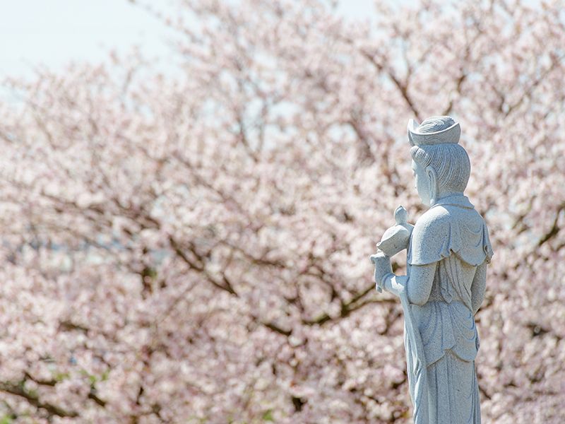 福応寺 のうこつぼ