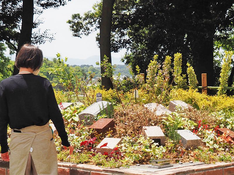 niwabo・安楽寺ガーデニング