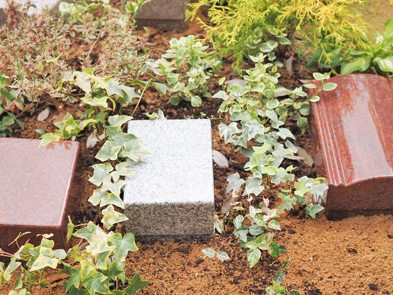 niwabo・安楽寺ガーデニング