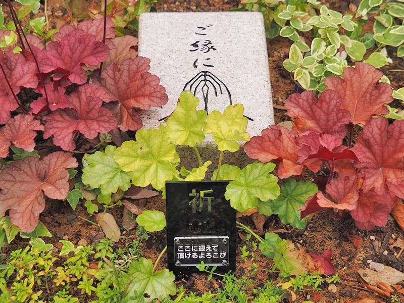 niwabo・安楽寺ガーデニング