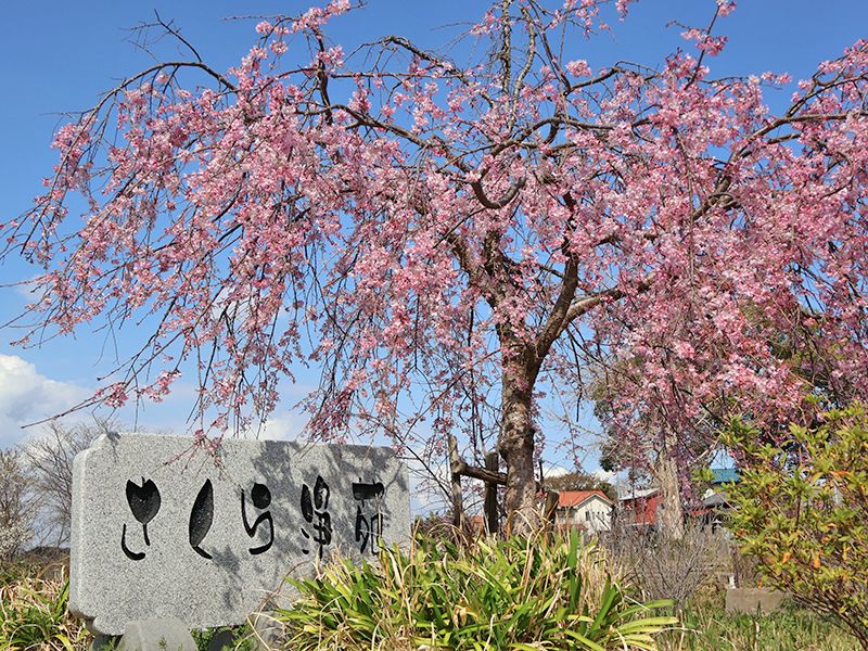 さくら浄苑 代宿メモリアル