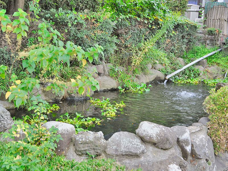 花木の彩 新埼玉霊園
