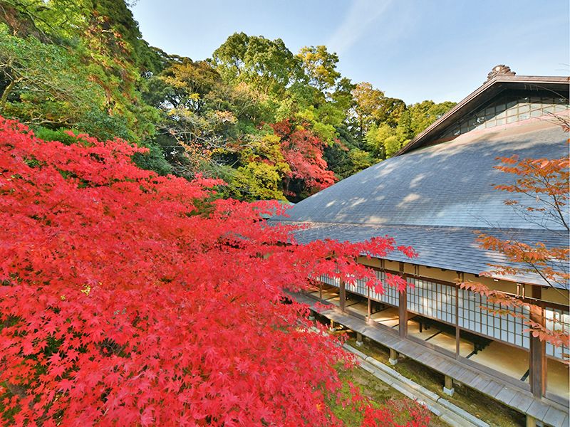 津市永代供養墓霊園 四天王寺