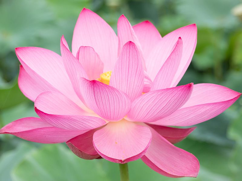 津市永代供養墓霊園 四天王寺