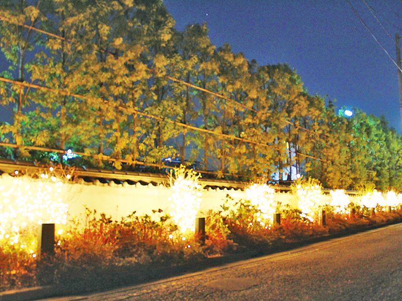 世田谷やすらぎ墓苑 花壇葬セレナージュ