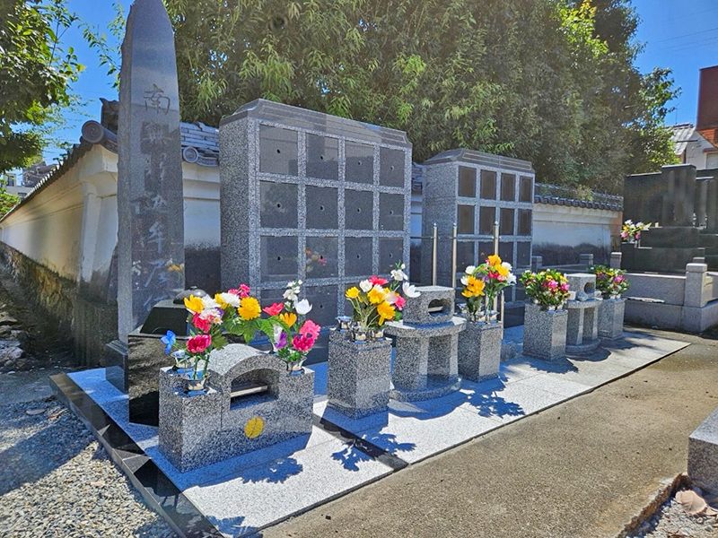 天澤院 のうこつぼ