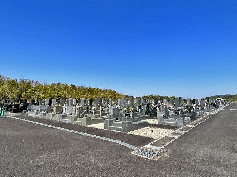 達磨霊園 歩道は広く歩きやすい造り