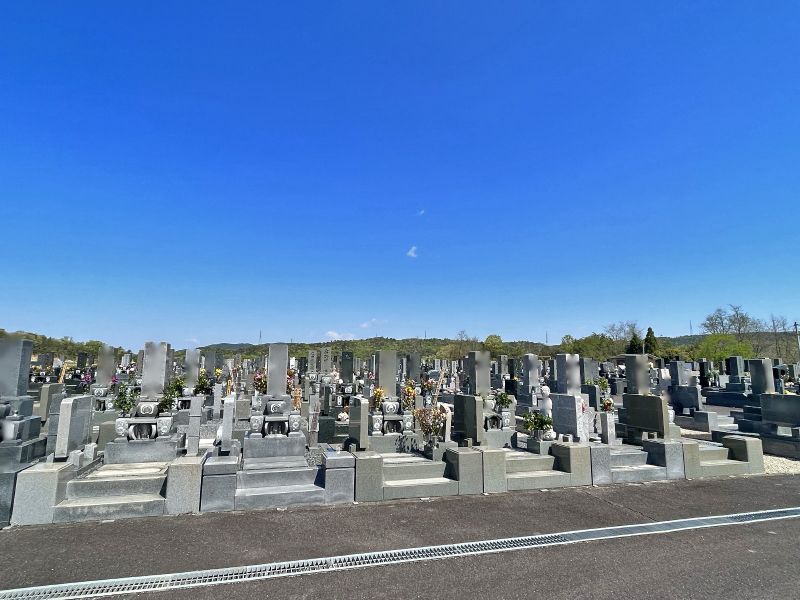 達磨霊園 掃除が行き届いているお墓