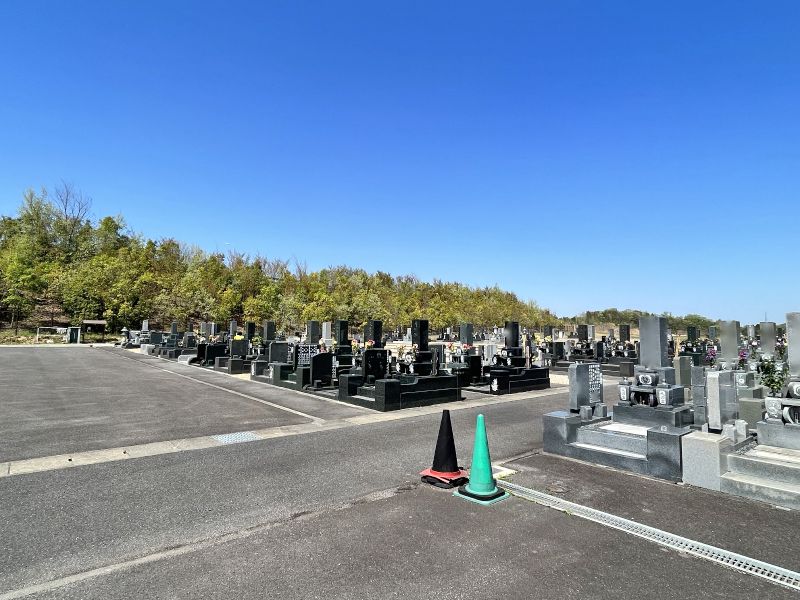 達磨霊園 きちんと管理された園内