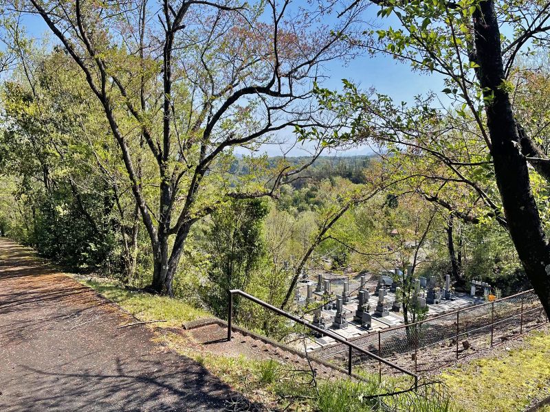 平和霊園 木々の中散策できる歩道と階段