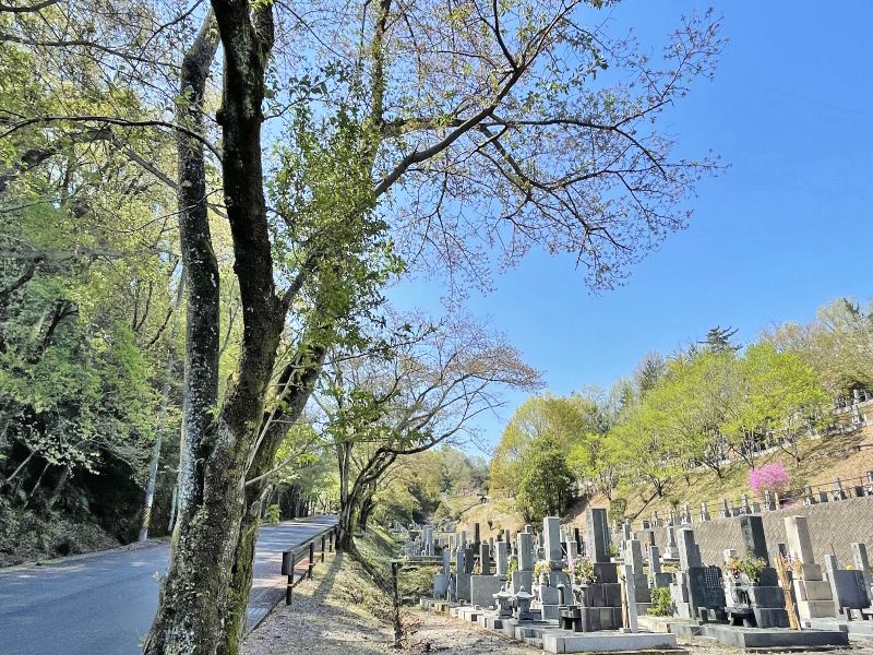 草木溢れる自然豊かな平和霊園
