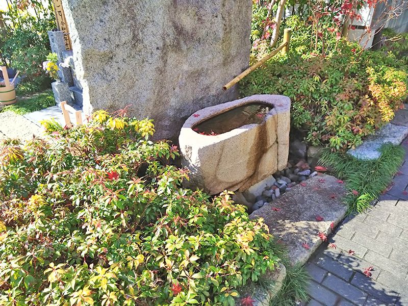 浄国寺 境内墓地